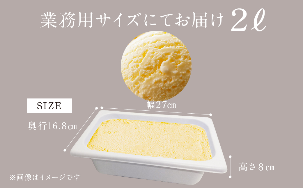 業務用 牛乳屋が本気で作った アイス スター ミルク 2000ml アイス アイスクリーム アイスミルク スイーツ おやつ 乳製品