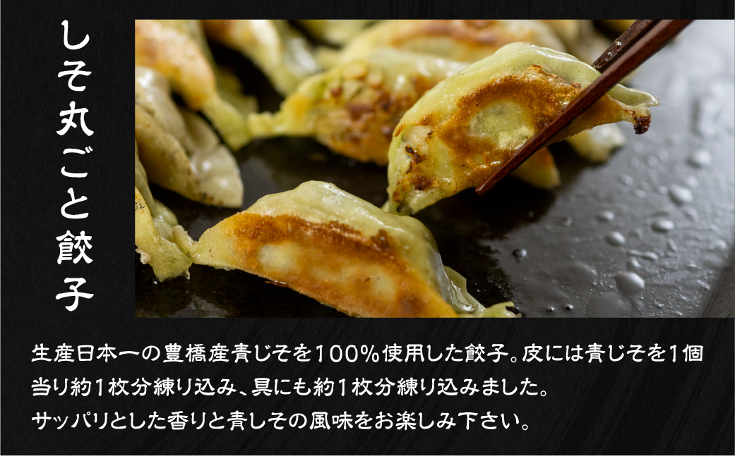 計100個！ 国産餃子 4種食べ比べセット