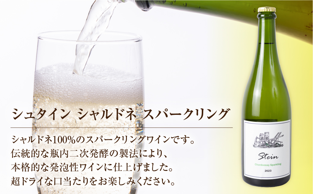 Stein シュタイン スパークリングワイン 1本 石巻産葡萄100％使用 ワイン 国産 スパークリング ワイン
