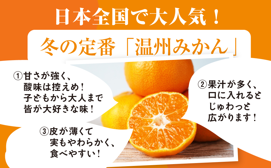 豊橋みかん 訳あり 5kg