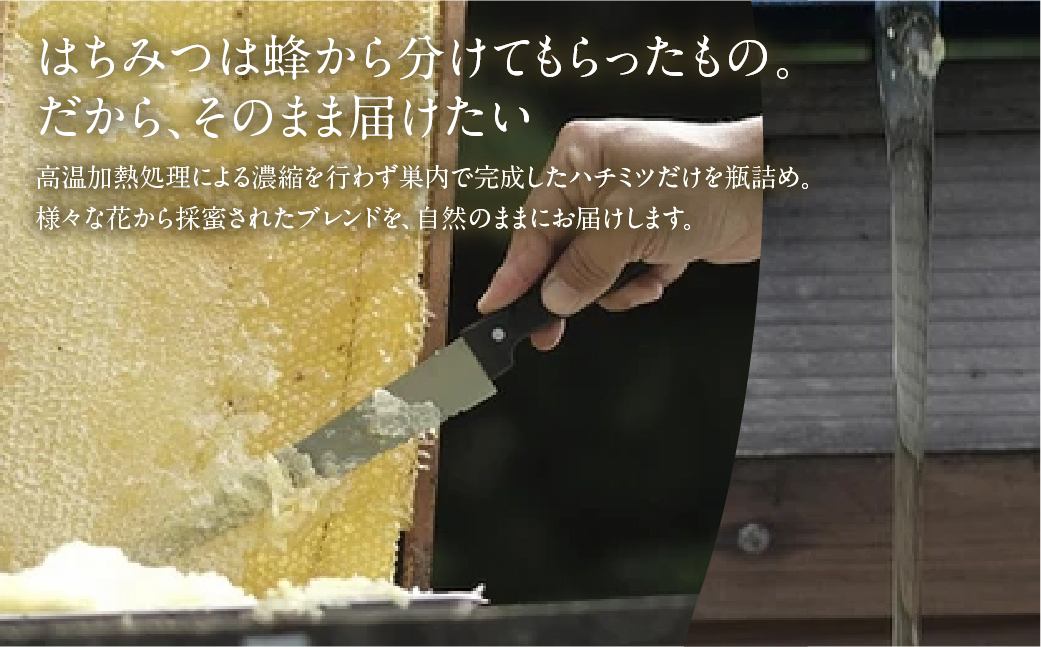 数量限定！【kosaji】春はちみつ300g ボトル入り