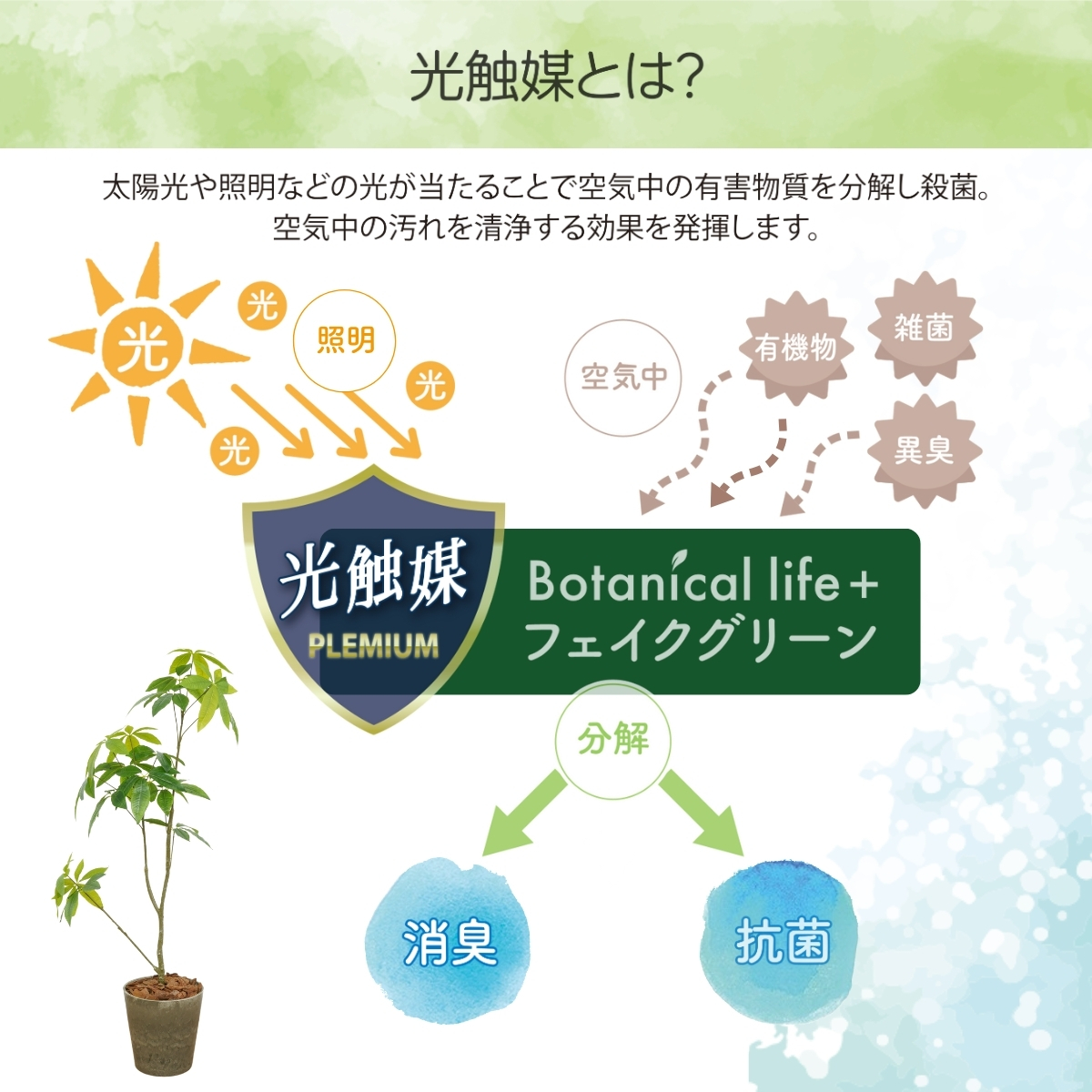 フェイクグリーン Botanical life+ Dシリーズ オリーブ 光触媒加工 鉢付き （鉢： ナチュラルカラー グリーン ） インテリア 抗菌 消臭 愛知県 豊橋市 送料無料 52000円