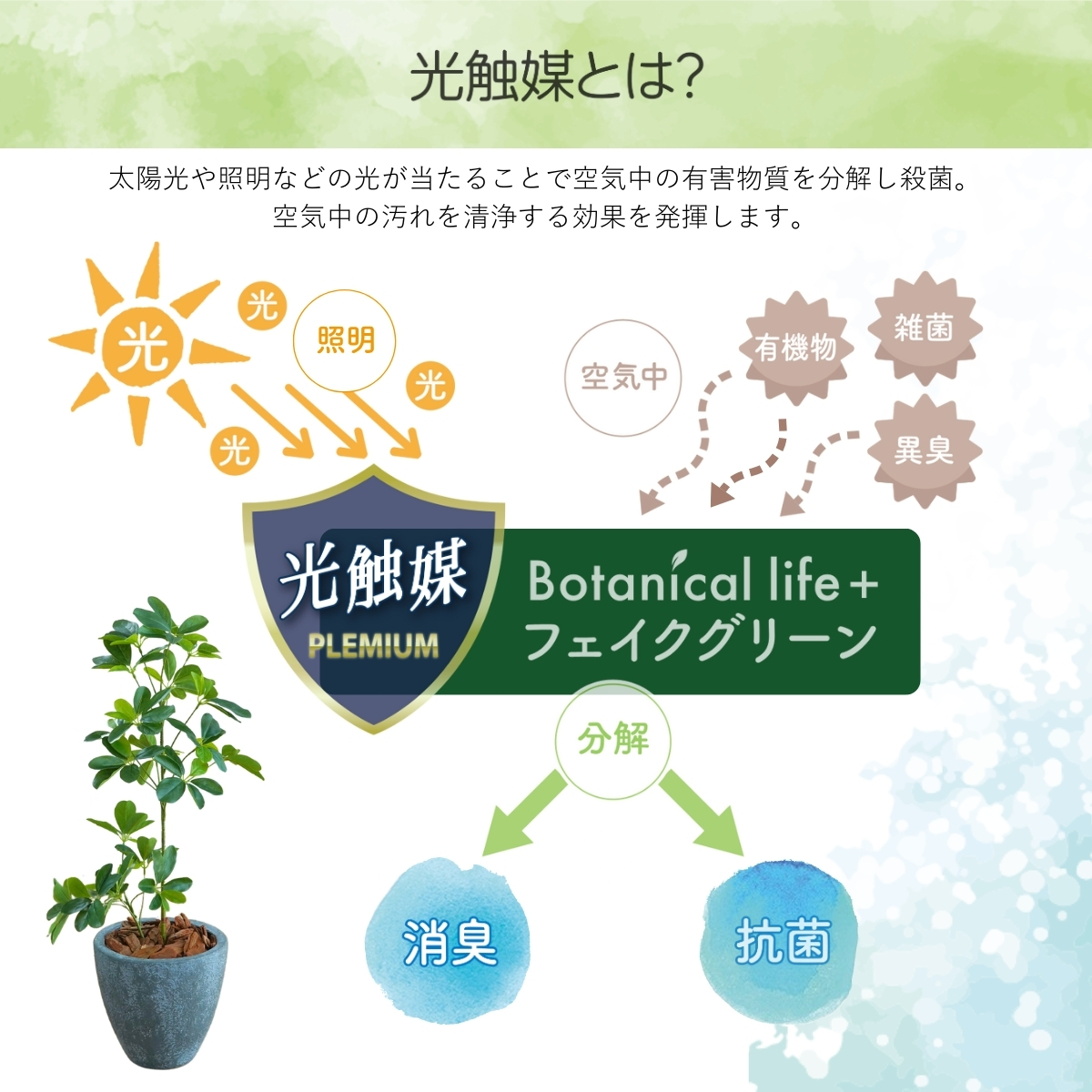フェイクグリーン Botanical life+ Dシリーズ シェフレラ 65cm 光触媒加工 鉢付き （鉢： 石造り風 ライトストーン） インテリア 抗菌 消臭 愛知県 豊橋市 送料無料 41000円