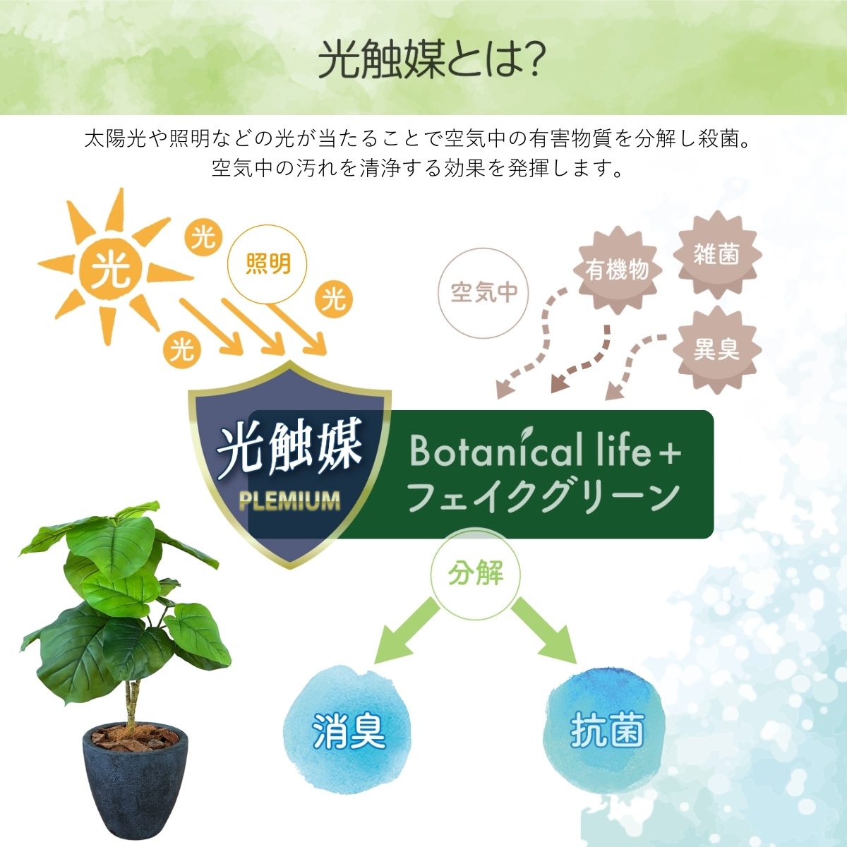 フェイクグリーン Botanical life+ Dシリーズ ウンベラータ 70cm 光触媒加工 鉢付き （鉢： 石造り風 ダークロック） インテリア 抗菌 消臭 愛知県 豊橋市 送料無料 41000円