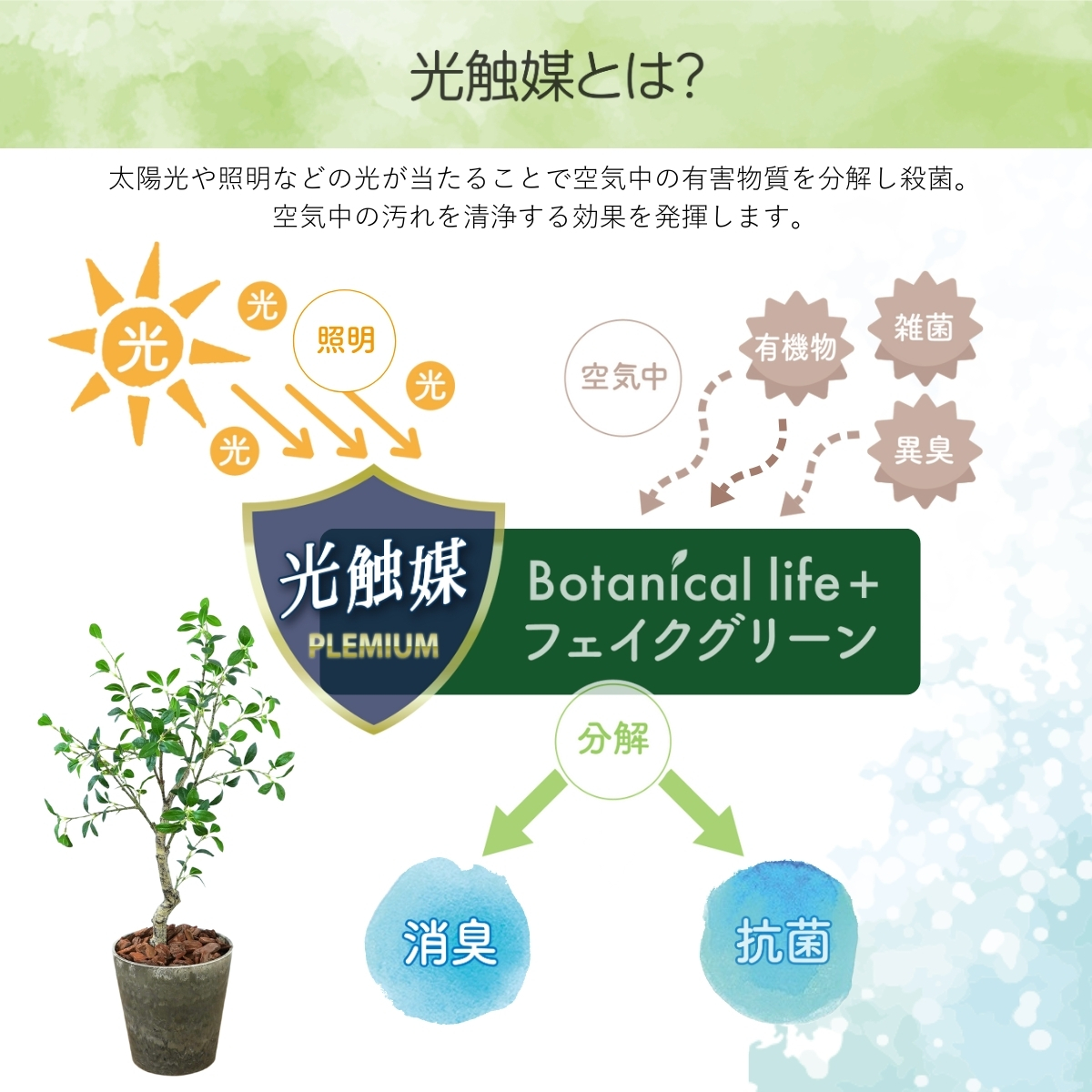 フェイクグリーン Botanical life+ Dシリーズ ガジュマル 100cm 光触媒加工 鉢付き （鉢： ナチュラルカラー ブラウン ） インテリア 抗菌 消臭 愛知県 豊橋市 送料無料 41000円