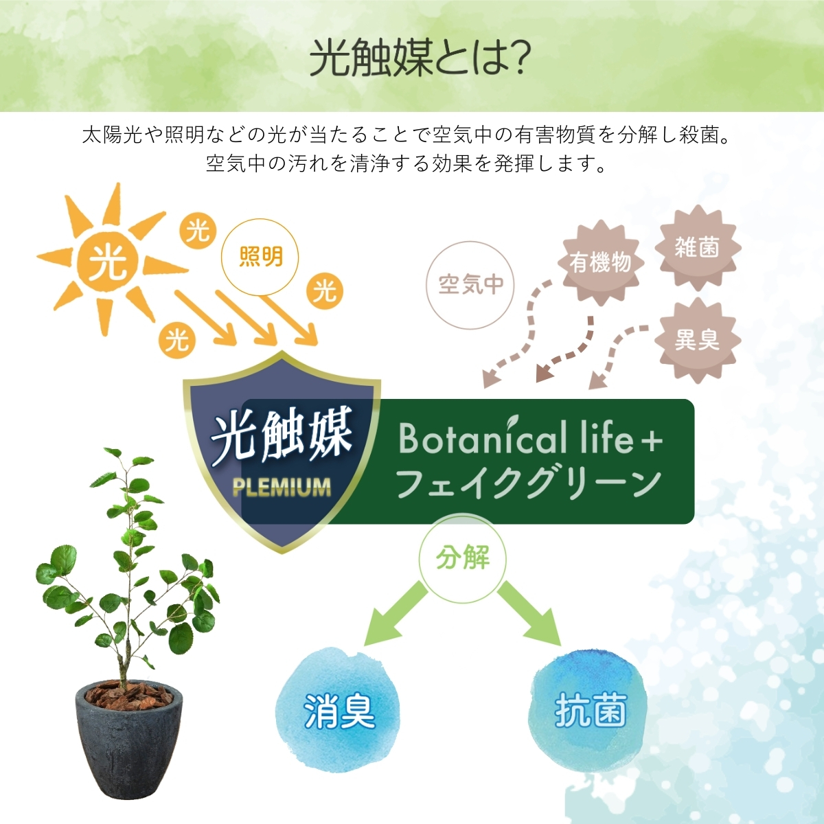 フェイクグリーン Botanical life+ Dシリーズ ポリシャス 70cm 光触媒加工 鉢付き （鉢： 石造り風 ダークロック ） インテリア 抗菌 消臭 愛知県 豊橋市 送料無料 35000円