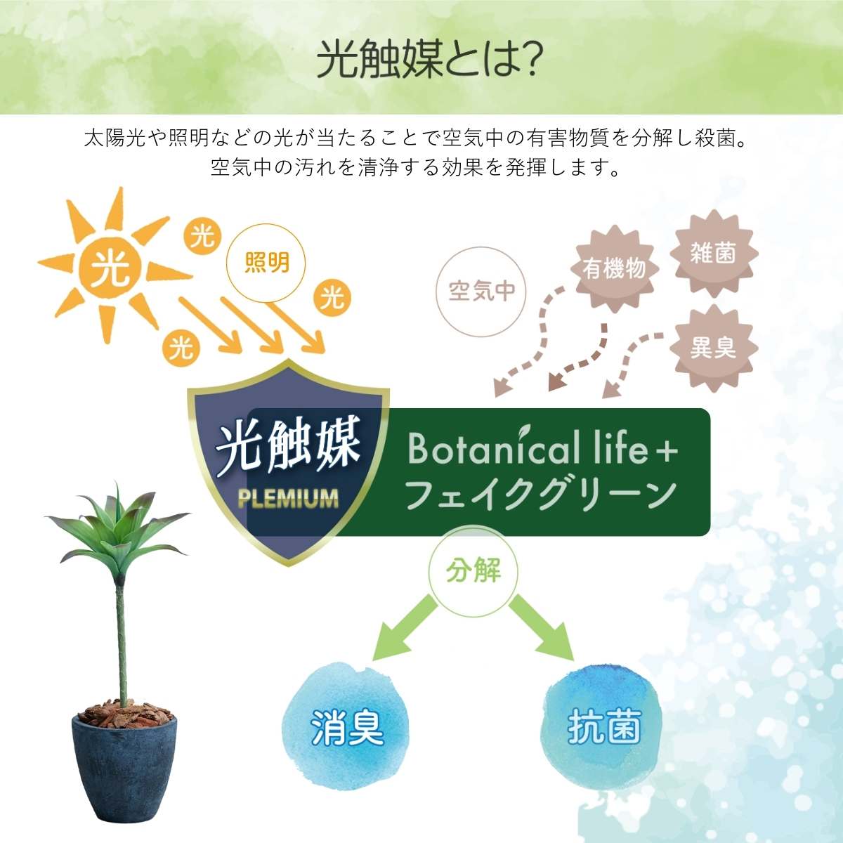 フェイクグリーン Botanical life+ Dシリーズ アガベI 75cm 光触媒加工 鉢付き （鉢： 石造り風 ダークロック ） インテリア 抗菌 消臭 愛知県 豊橋市 送料無料 35000円