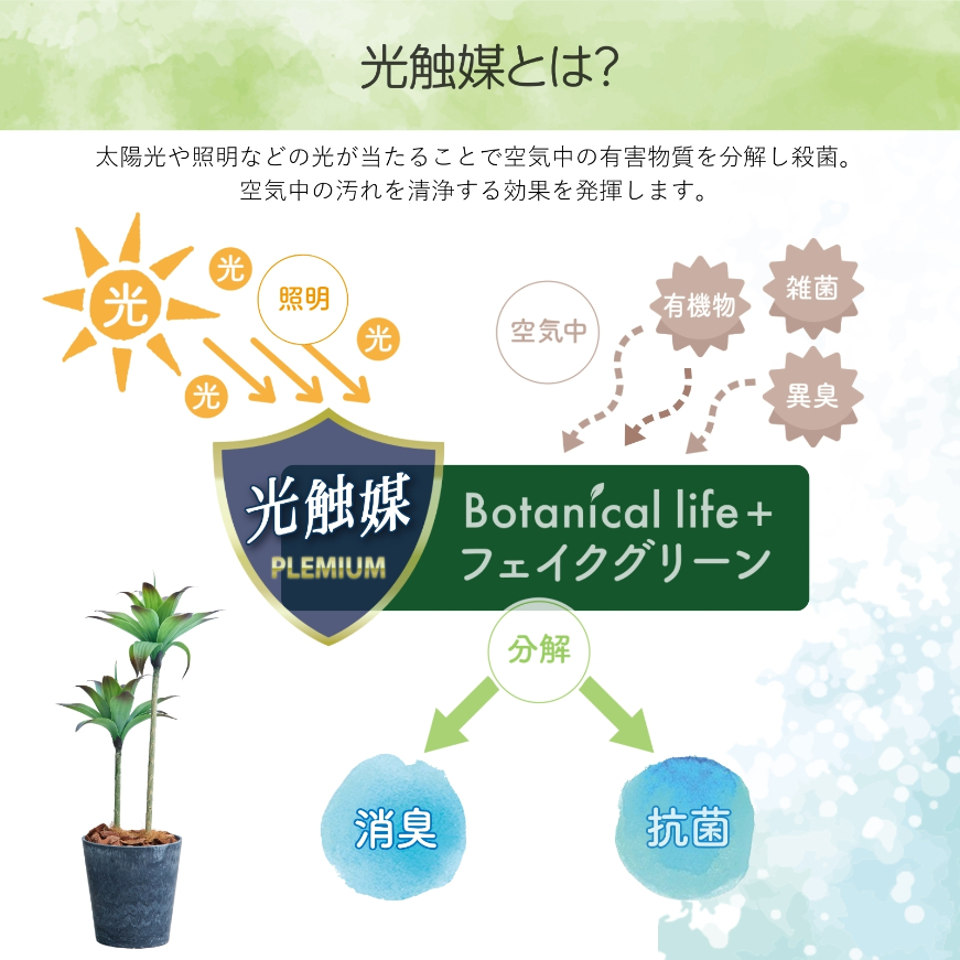 フェイクグリーン Botanical life+ Dシリーズ アガベII 100cm 光触媒加工 鉢付き （鉢： ナチュラルカラー グレー ） インテリア 抗菌 消臭 愛知県 豊橋市 送料無料 47000円