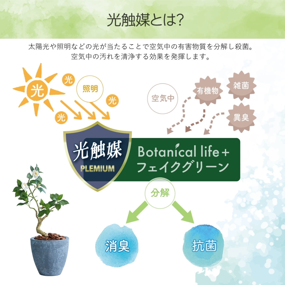 フェイクグリーン Botanical life+ Dシリーズ ツバキ 60cm 光触媒加工 鉢付き （鉢： 石造り風 ライトストーン ） インテリア 抗菌 消臭 愛知県 豊橋市 送料無料 35000円