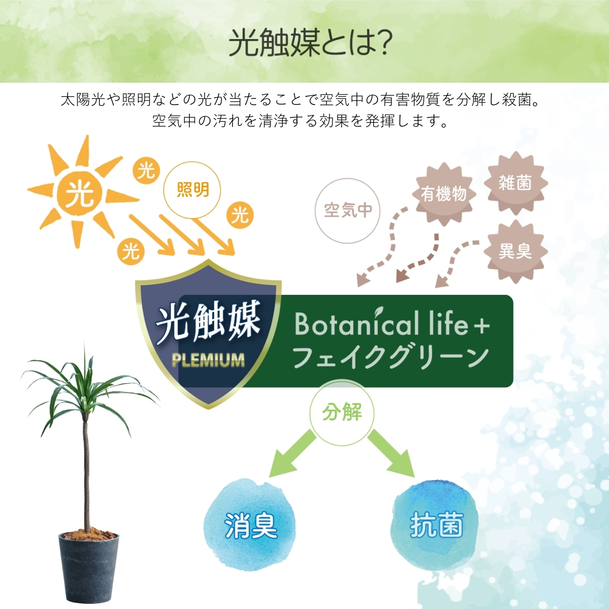 フェイクグリーン Botanical life+ Dシリーズ ドラセナ 110cm 光触媒加工 鉢付き （鉢： ナチュラルカラー グレー ） インテリア 抗菌 消臭 愛知県 豊橋市 送料無料 41000円