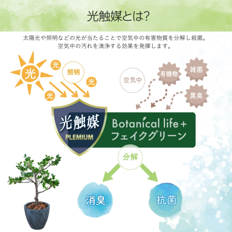 フェイクグリーン Botanical life+ Dシリーズ ラメリー 110cm 光触媒加工 鉢付き （鉢： ナチュラルカラー グレー ） インテリア 抗菌 消臭 愛知県 豊橋市 送料無料 52000円