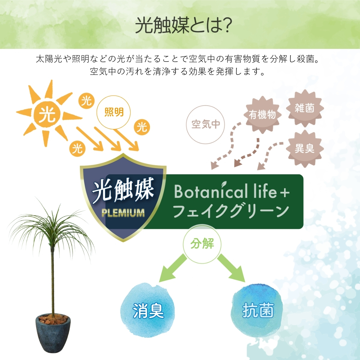 フェイクグリーン Botanical life+ Dシリーズ ドラセナ 90cm 光触媒加工 鉢付き （鉢： 石造り風 ダークロック ） インテリア 抗菌 消臭 愛知県 豊橋市 送料無料 41000円