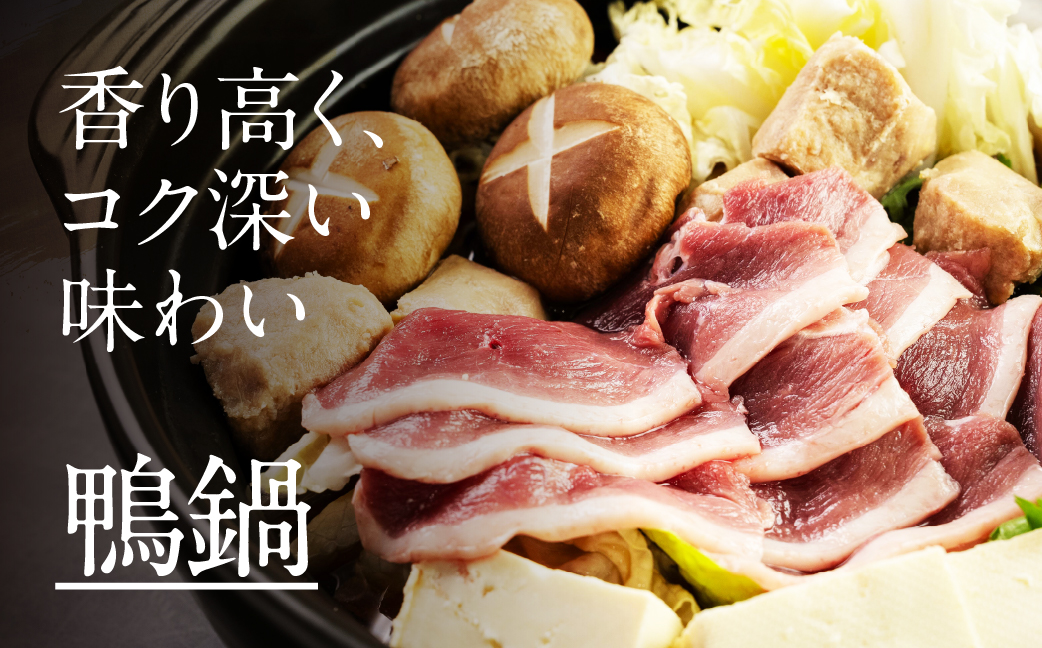 鴨肉のしゃぶしゃぶ 400g あいち鴨肉 堪能 スライス肉 かも ご当地 国産 鴨 合鴨 鍋料理 鍋 もつ鍋 牛もつ を取り扱う 人気 鳥市精肉店 10000円 豊橋市