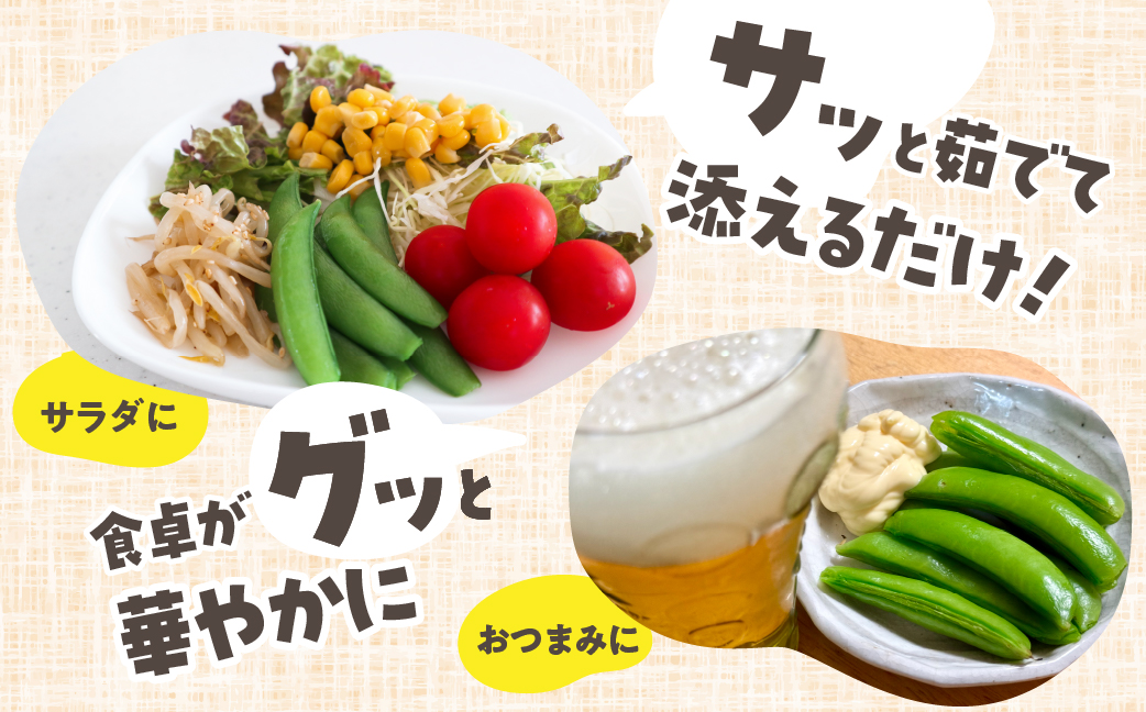 ≪先行予約≫スナックエンドウ 約500g エンドウ スナップエンドウ サラダ 野菜 料理 夕飯 おかず 栄養バランス シャキシャキ 高糖度 糖度 旬 旬の野菜 健康 愛知県 豊橋市 1万円 10000円