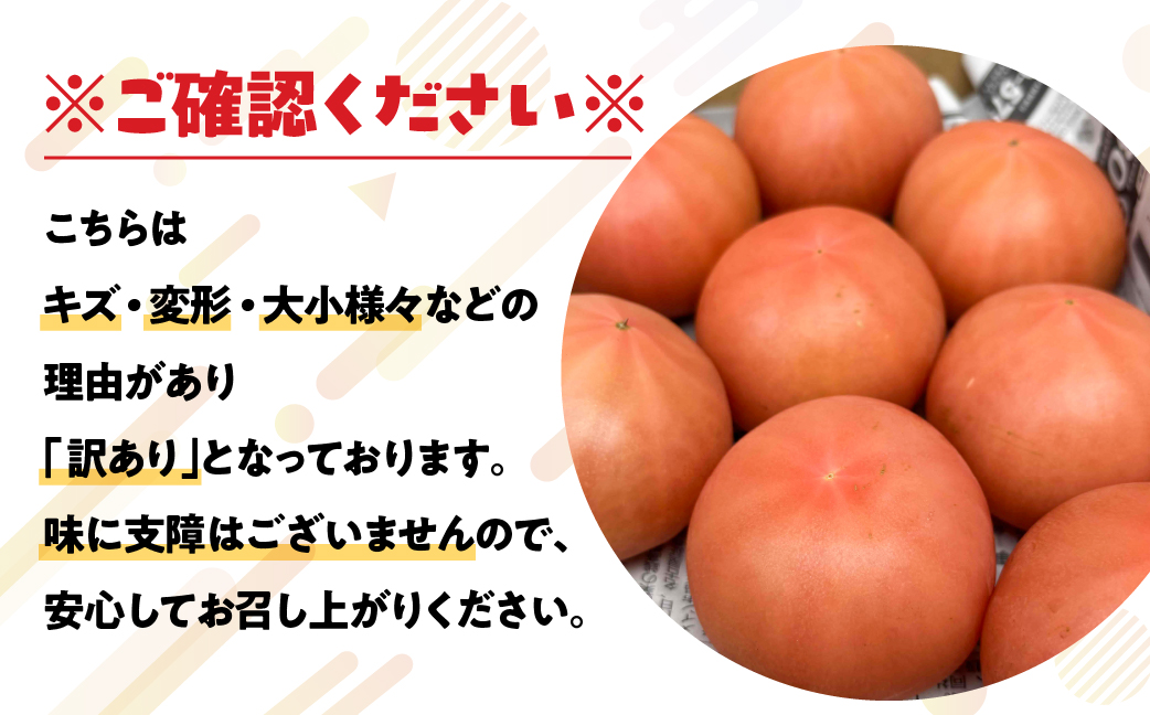≪先行予約 2026年発送≫ 訳ありトマト 約1kg とまと トマト tomato 野菜 甘み サンドイッチ サラダ 訳あり 訳アリ わけあり ワケアリ 規格外 旬 旬の野菜 健康 愛知県 豊橋市