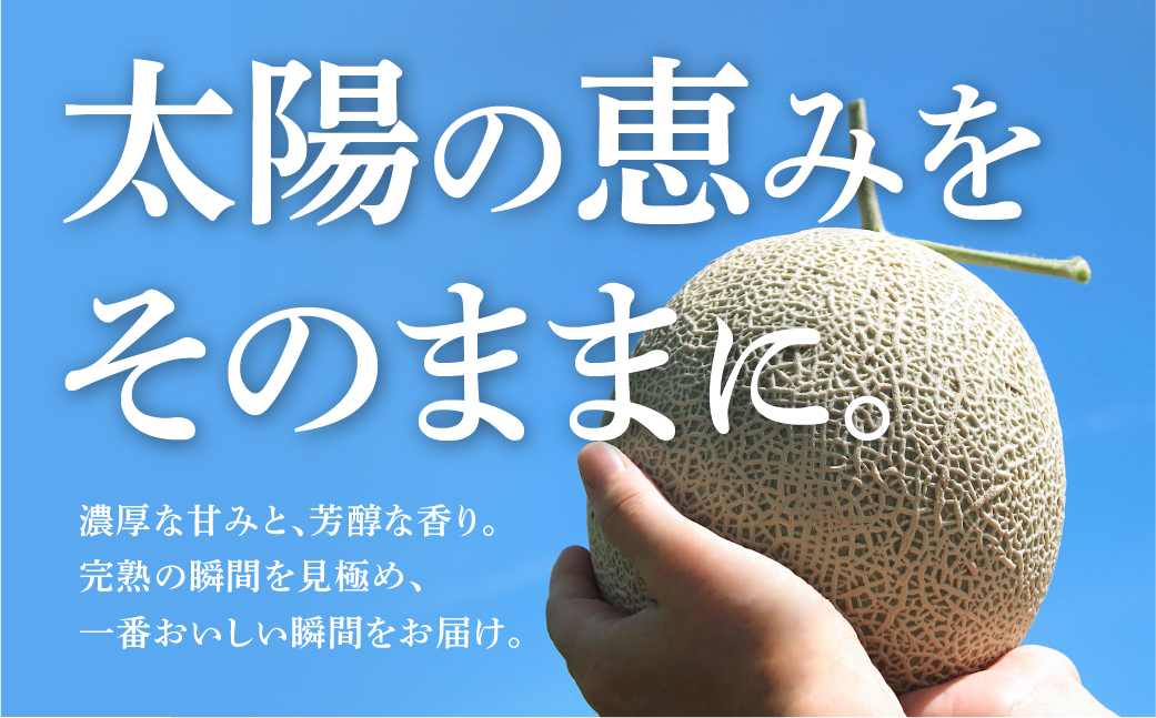 ≪先行予約 2026年発送≫ 温室マスクメロン 2玉【訳あり】めろん メロン マスクメロン 訳あり わけあり 果物 フルーツ デザート 旬 旬の果物 高糖度 糖度 1万円 10000円 愛知県 豊橋市