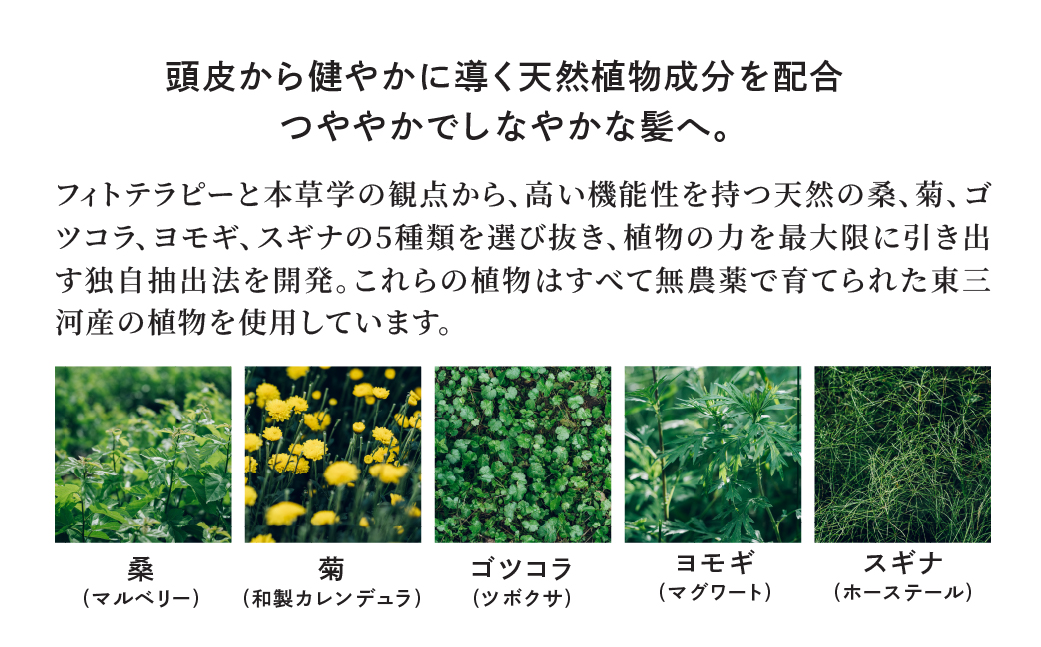 Waphyto コンディショニング ヘアミルク 100g ワフィト ヘアケア ヘア用品 ヘアケア用品 トリートメント 洗い流さないトリートメント アウトバス アウトバストリートメント 化粧品 コスメ ギフト プレゼント おすすめ おススメ 美容 愛知県 豊橋市