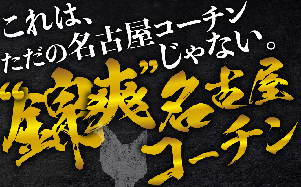 名古屋コーチン餃子 36個 (12個入×3パック) 冷凍餃子 こだわり餃子 おススメ 美味しい 餃子 ぎょうざ ギョウザ ギョーザ 惣菜 冷凍 名古屋コーチン 地鶏 ブランド地鶏 冷凍食品 セット 国産 国産素材 詰め合わせ 愛知県 豊橋市