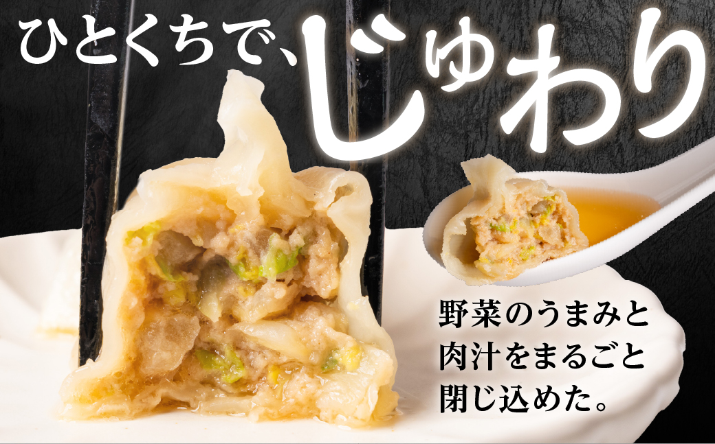 とよはし お試しサイズ『最強肉汁餃子』10個入り 簡易包装