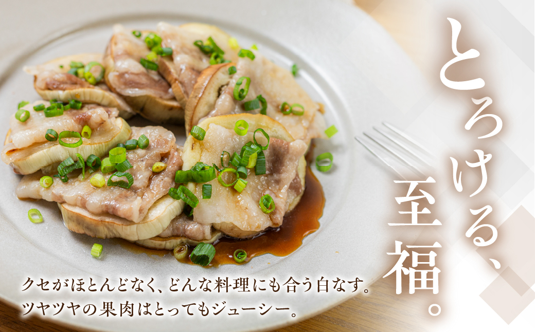 ≪先行予約≫白茄子 6本 ナス 茄子 なす なすび 白なす しろなす 白ナス 白茄子 野菜 旬 旬の野菜 糖度 石田茄子 お取り寄せ 健康 夕飯 おかず 愛知県 豊橋市