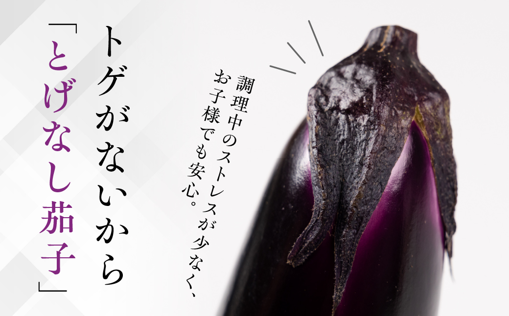 ≪先行予約≫こだわり茄子 食べ比べ≪とげなし茄子×白茄子≫ ナス 茄子 なす なすび 白なす しろなす 白ナス 白茄子 野菜 旬 旬の野菜 糖度 石田茄子 トゲなし とげなし セット 食べ比べセット お取り寄せ 健康 夕飯 おかず 愛知県 豊橋市 5千円 5000円