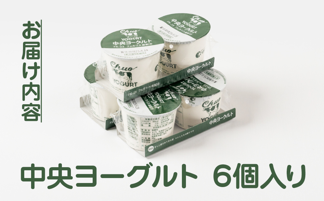中央製乳 中央ヨーグルト2p 6個 セット こだわり なめらか おやつ デザート 乳製品 乳酸菌 健康 腸活 ロングセラー 愛知県 豊橋市