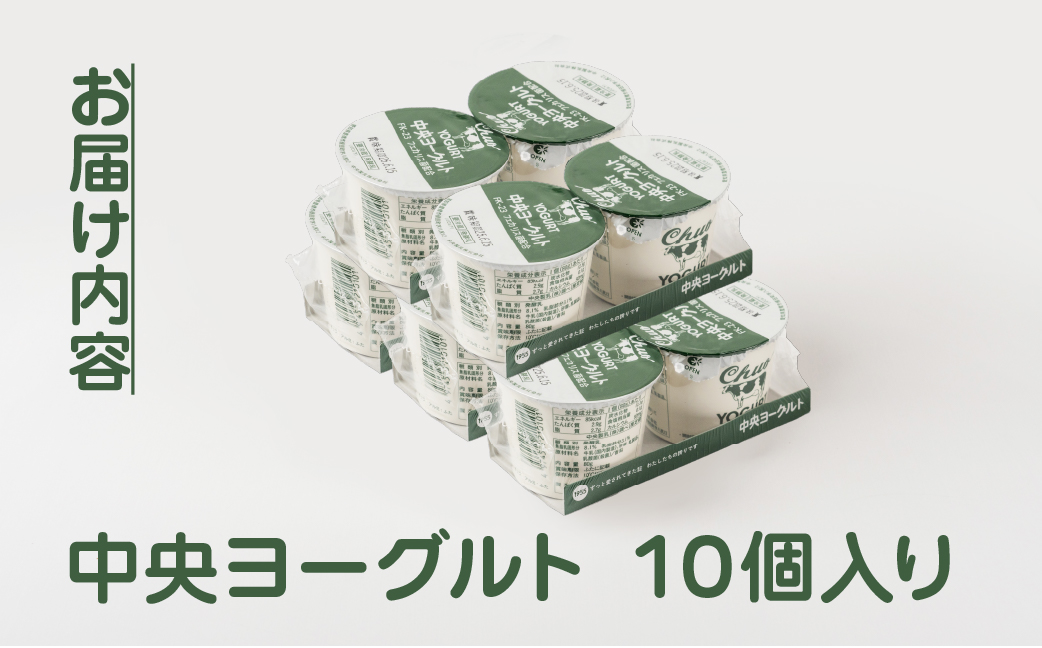中央製乳 中央ヨーグルト2p 10個 セット こだわり なめらか おやつ デザート 乳製品 乳酸菌 健康 腸活 ロングセラー 愛知県 豊橋市