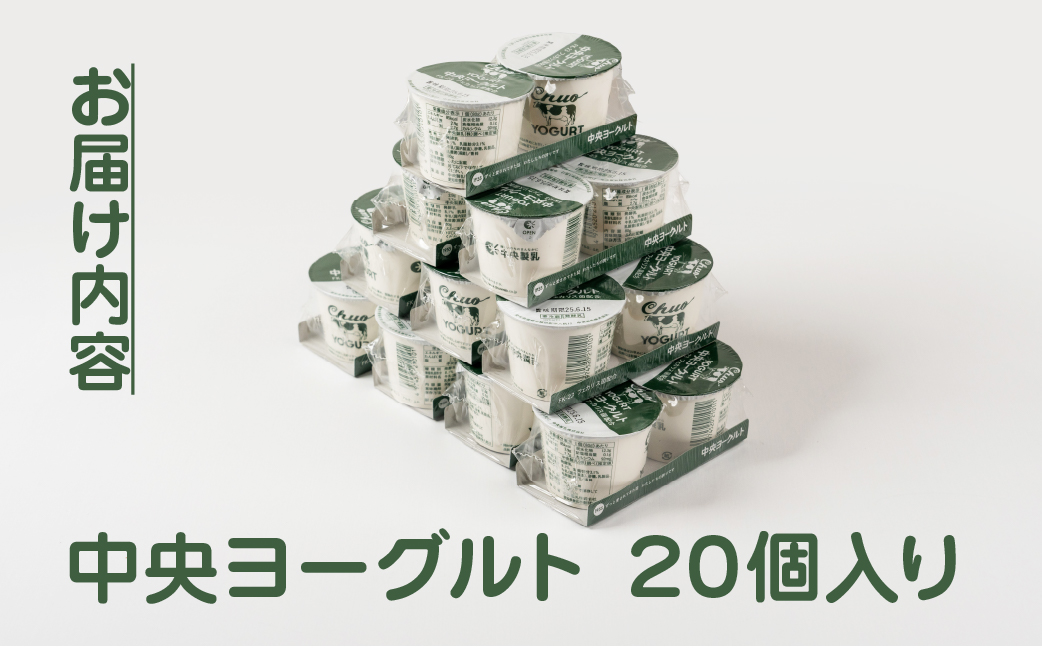 中央製乳 中央ヨーグルト2p 20個 セット こだわり なめらか おやつ デザート 乳製品 乳酸菌 健康 腸活 ロングセラー 愛知県 豊橋市