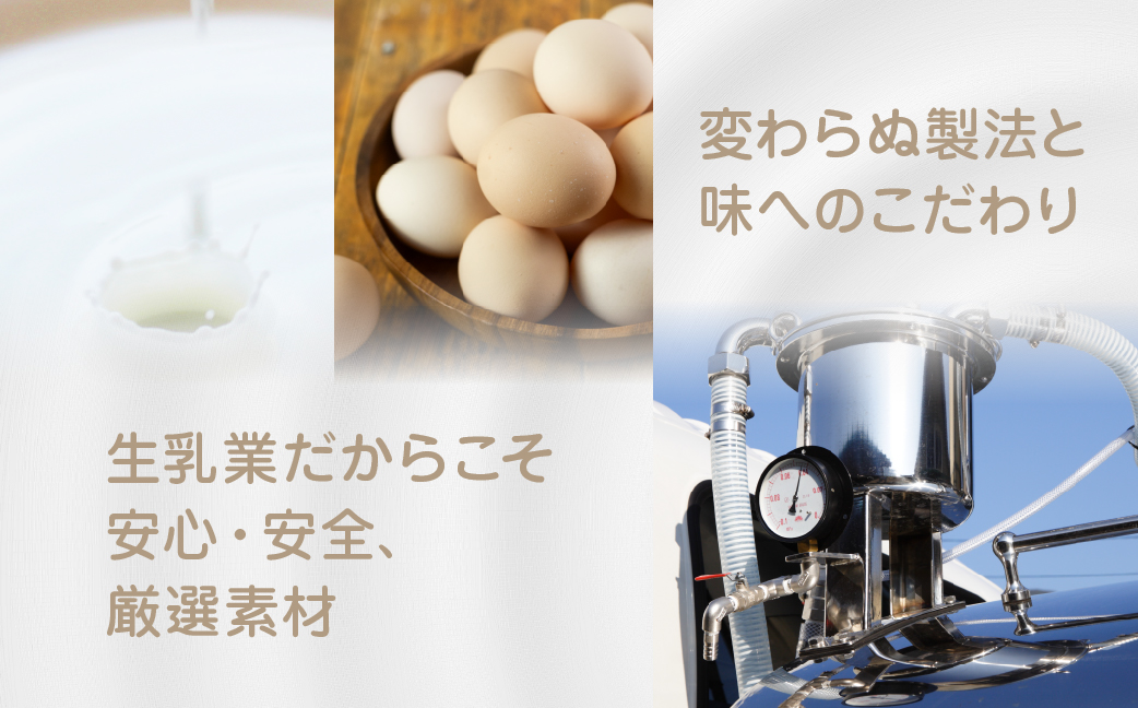 中央製乳 中央プリン3p 12個 セット こだわり なめらか おやつ デザート 定番 甘い たまご カラメルソース 厳選素材 愛知県 豊橋市