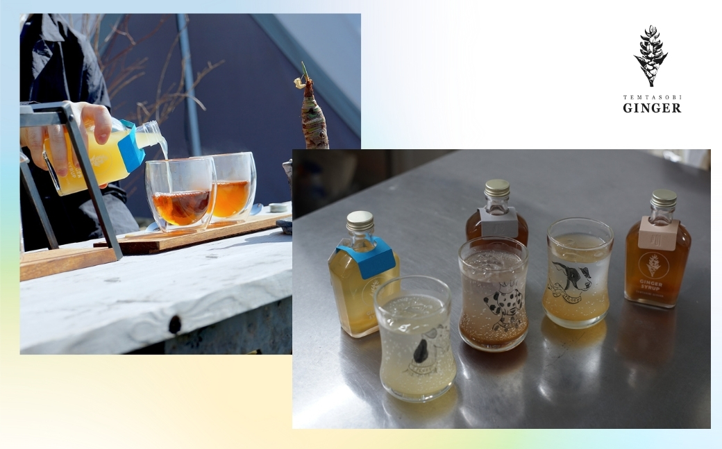 クラフトジンジャーシロップ【レモン】 TEMTASOBIGINGER ジンジャーシロップ 生姜シロップ しょうがドリンク 手作りシロップ 無添加シロップ ジンジャーエール 国産生姜 炭酸 ホットドリンク 冷え対策 免疫サポート 生姜 ギフト 愛知県 豊橋市
