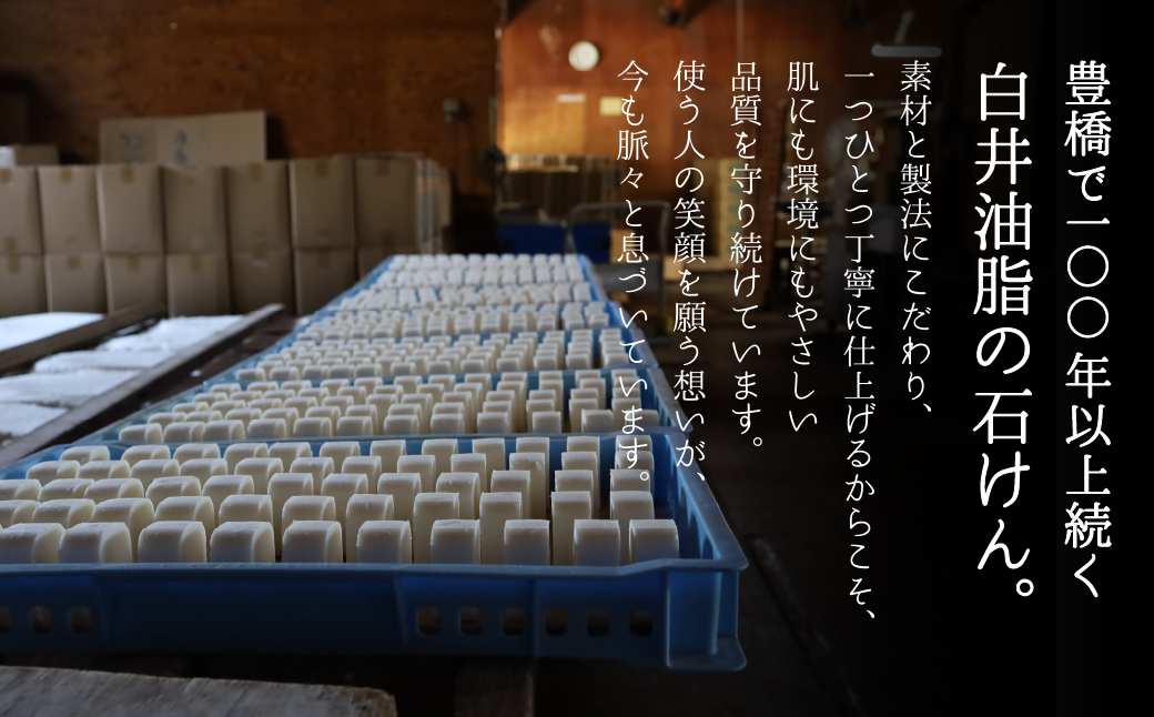 ミセル粉石けん 細粒タイプ 2袋セット せっけん 石けん 石鹸 粉石けん 粉 洗剤 洗濯 洗濯石けん 無香料 手作業 掃除 食器 食器洗い 日用品 愛知県 豊橋市 13000円