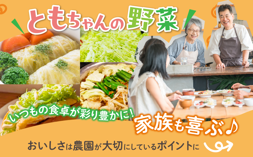 旬のキャベツ 2玉 7回お届け 定期便 ミネラルたっぷり 海風そだち 潮風 豊橋 国産 家族で 大容量 ともちゃんのやさい 大人気！ 愛知県 豊橋市 安心野菜 キャベツ 冬キャベツ 春キャベツ 初夏キャベツ