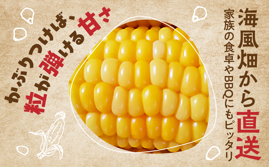 ≪先行予約≫ 令和8年産（2026年収穫）黄色とうもろこし 7本 直売所で大人気！ 愛知県 豊橋市 夏野菜 野菜 ミネラルたっぷり 海風そだち 潮風 BBQ 家族で 大容量 豊橋 ともちゃんのやさい