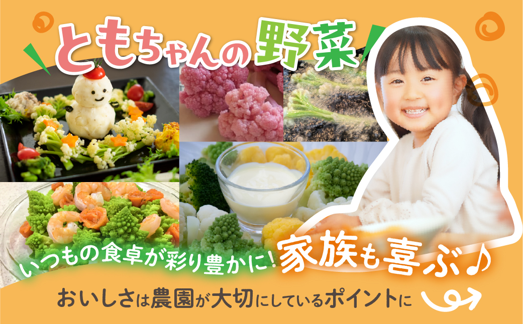 白カリフローレ 2本 豊橋 国産 ミネラルたっぷり 海風そだち 潮風 家族で 豊橋 ともちゃんのやさい 直売所で大人気！ 愛知県 豊橋市 安心野菜 カリフラワー カリフローレ 花野菜