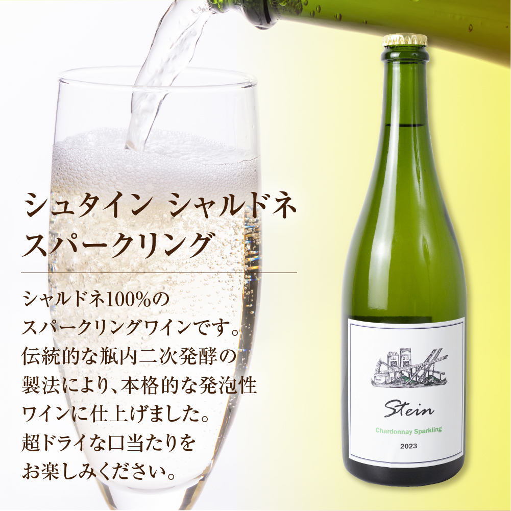 Stein シュタイン ワイン 3本セット 石巻産葡萄100％使用 赤ワイン 白ワイン 国産 赤 白 スパークリング