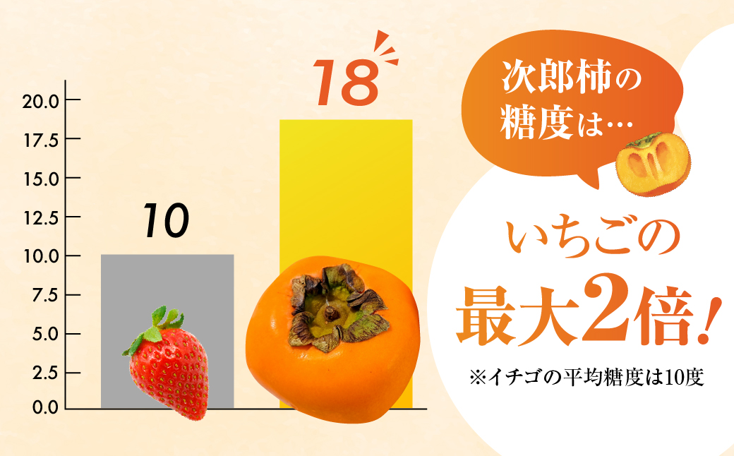≪来年分予約開始≫ 2026年産 生産量日本一 豊橋石巻産 次郎柿 ご自宅用 ≪3kg≫ 柿 訳あり 甘柿 果物 フルーツ 10月 11月 愛知県 豊橋市 ビタミンC 腸活 産地直送 農家直送 数量限定