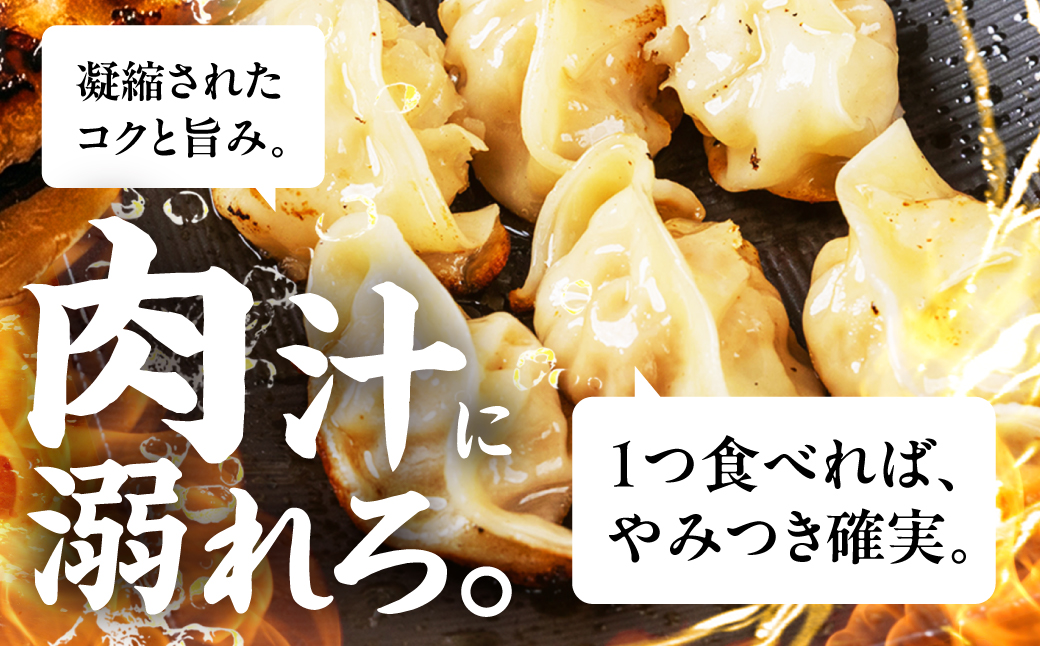 ＼メディアで話題！／ 最強肉汁餃子 2箱（40個） 餃子 冷凍餃子 惣菜 ギョーザ ぎょうざ 中華 簡単調理 簡単 人気 ランキング 肉汁 美味しい 国産素材 豚肉 豚 ギフト 贈答 もっちり 冷凍惣菜 お惣菜 つまみ 愛知県 豊橋市