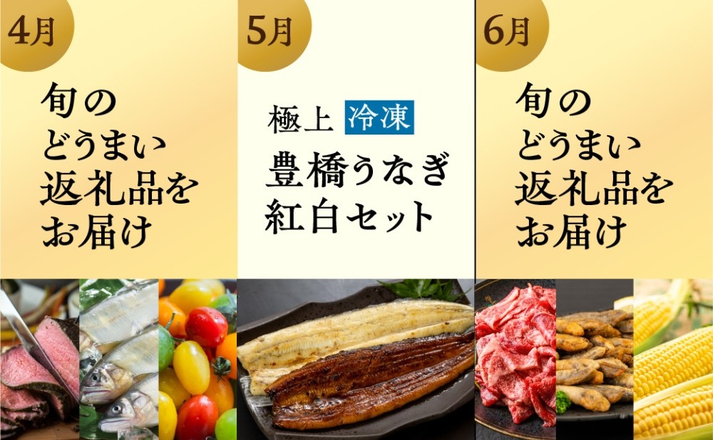 【おまかせコース】穂の国の恵み どうまい 定期便 全12回 おまかせコース ( 餃子 むき えび うなぎ おでん 鴨鍋 かも鍋 うなぎ メロン ジェラート フローズンヨーグルト ) ご当地 人気 名産品 頒布会 豊橋