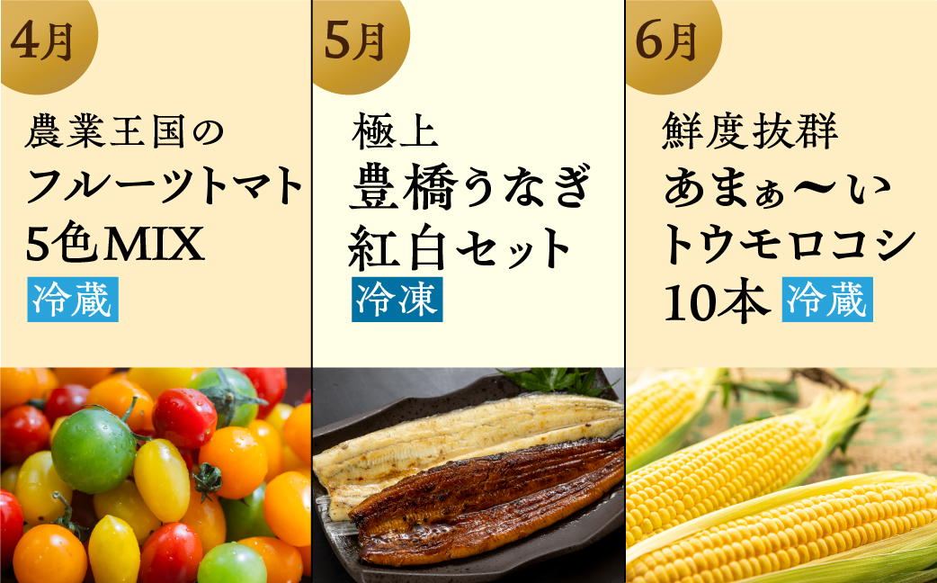 【農産物コース】穂の国の恵み どうまい 定期便 全12回 Cコース 農産物 ( 餃子 むき えび うなぎ おでん 鴨鍋 かも鍋 トマト とうもろこし シャインマスカット 巨峰 ぶどう メロン ジェラート フローズンヨーグルト ) ご当地 人気 名産品 頒布会 豊橋