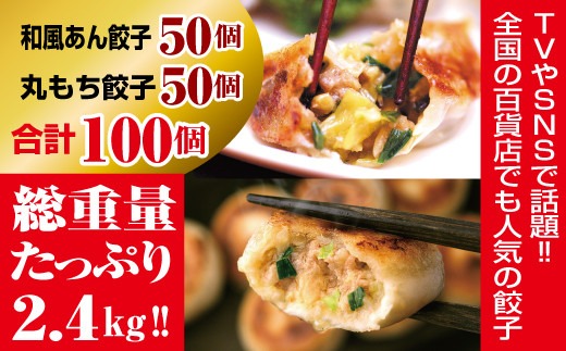 夏目家の『和風あん餃子』50個と『丸もち餃子』50個のガッツリ100個食べくらべセット