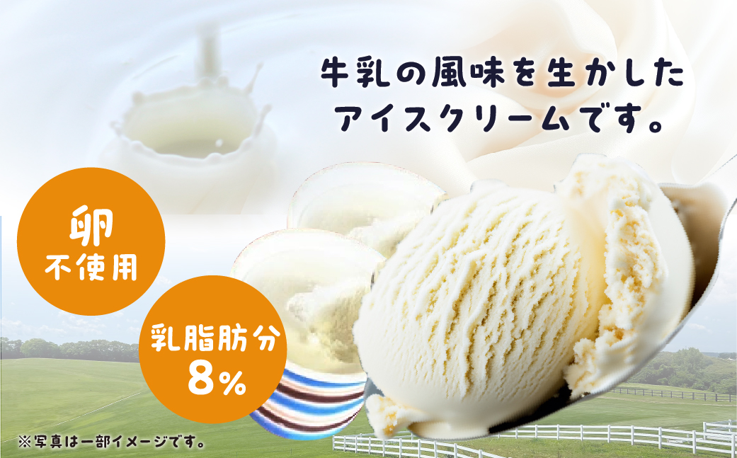 豊橋うまれののんちゃんあいす3個×4パックセット