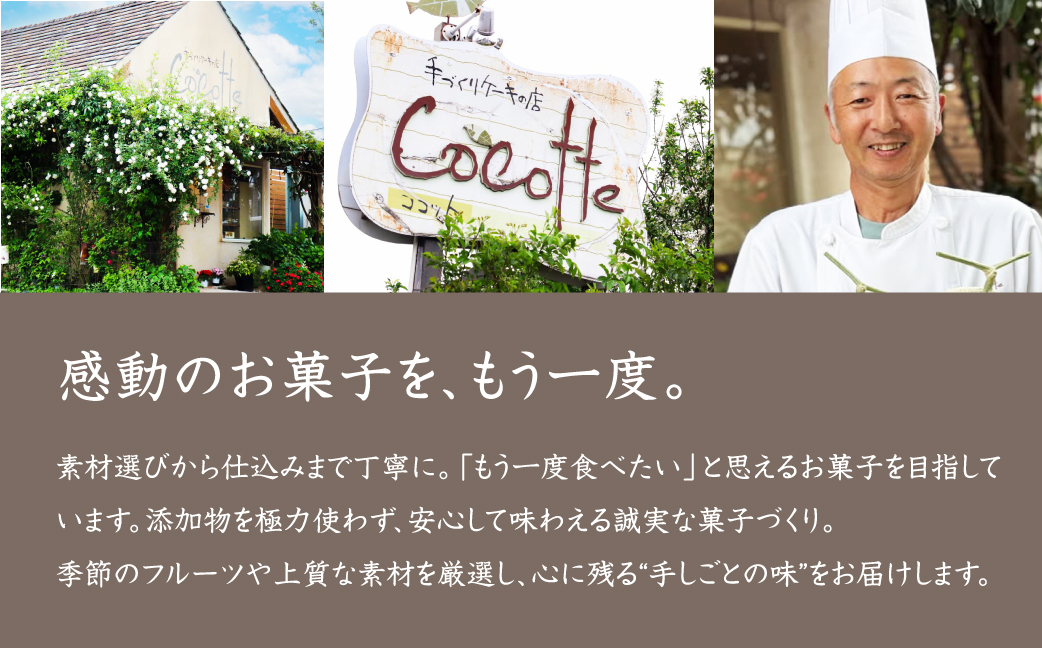 ≪先行予約≫ 100本限定 煎茶のふわとろテリーヌショコラ ご褒美 おやつテリーヌ ショコラ チョコ デザート 贅沢 ケーキ 煎茶 甘夏 ベルギー産ホワイトチョコレート ギフト プレゼント 贈答 お取り寄せ 夏季限定 愛知県 豊橋市