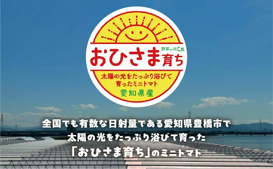 おひさま育ち ミニトマトジュース720ml 2本セット