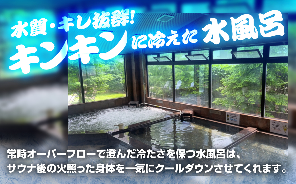 サウナピア ご利用チケット 1枚 (レギュラー) 男性サウナの聖地！昭和ストロングスタイル 入泉券 豊橋市 男性専用 サウナ チケット サウナチケット 体験 券 スパ 利用券 招待券 入浴 銭湯 お風呂 風呂 回数券 水風呂 整い 愛知県 豊橋市