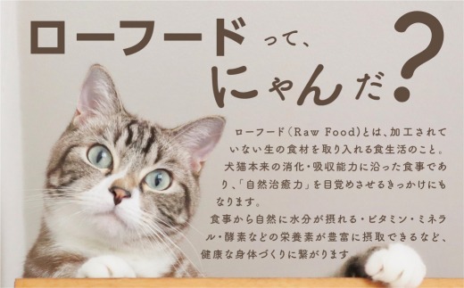 犬猫用手作りローフード（錦爽どりミックス500g+鹿骨ボーンブロス300ml）