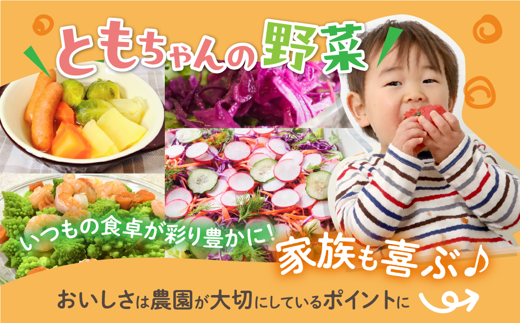 彩り野菜セット 3種 お試し1回お届け 豊橋 国産 ミネラルたっぷり 海風そだち 潮風 家族で 大容量 豊橋 ともちゃんのやさい 直売所で大人気！ 愛知県 豊橋市 安心野菜 ブロッコリー キャベツ