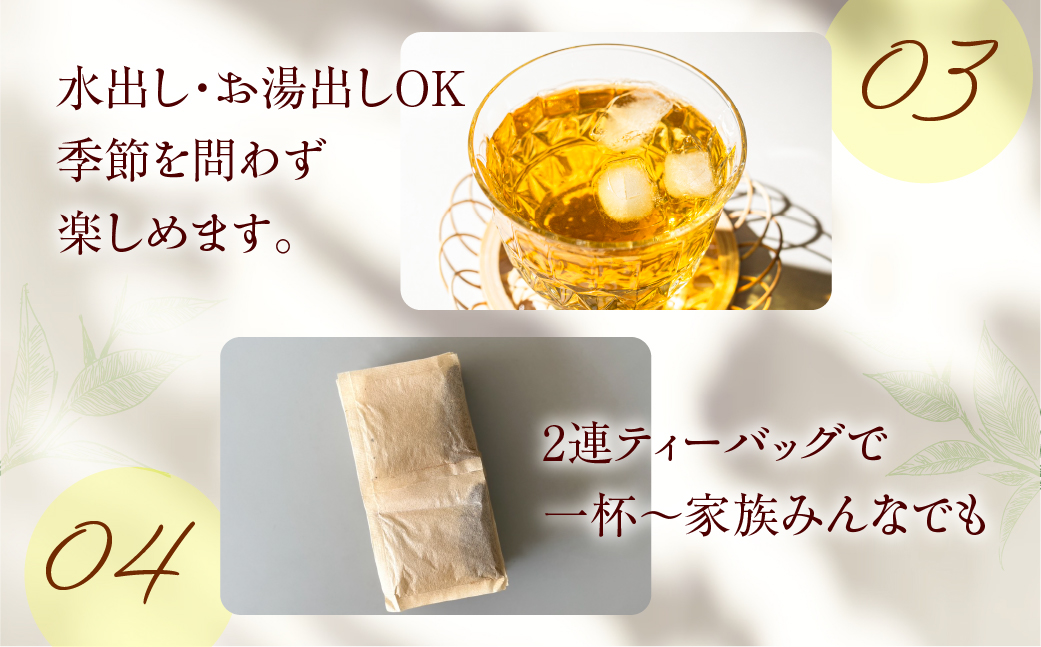 ギムネマティー 2袋 ギムネマ100％ ノンカフェイン 計60包(2g×30包) 一貫した国内加工 ハーブティー 安心 大容量 まとめ買い 水だし 健康茶 ダイエット 中の方や 血糖値 が気になる方におすすめ 豊橋市 焙煎加工 ベストボディ 身体づくりのサポートに