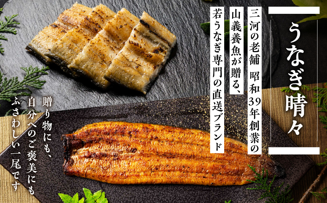 山義養魚の『うなぎ晴々』 5尾 希少  豊橋うなぎ 蒲焼 厳選 国産 新仔うなぎ 若うなぎ 鰻 簡易包装 ウナギ うなぎ 鰻 蒲焼 ギフト ひつまぶし 土用丑の日 ギフト 冷凍  丑の日 簡単調理 豊橋うなぎ お取り寄せ 送料無料