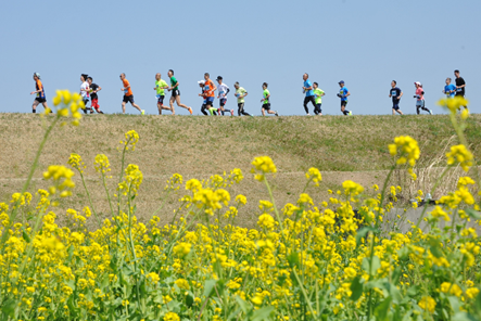 鈴木亜由子杯 穂の国・豊橋ハーフマラソン2025 エントリー権