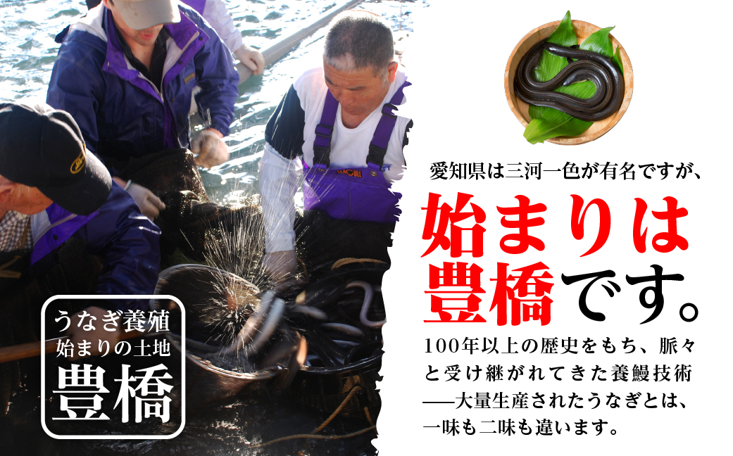 極上 豊橋うなぎ 長蒲焼と長白焼（特大2尾）+ 蒲焼きざみ（50g）x2 セット 夏目商店
